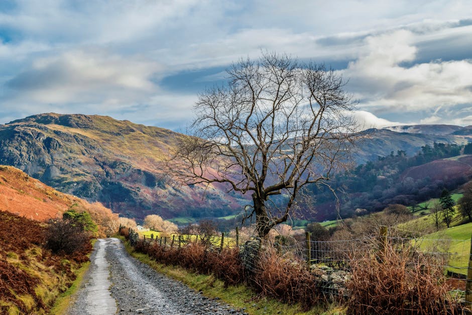 Discover the picturesque rural beauty of Cumbria, England, with this view of a winding unpaved road and vibrant hills.